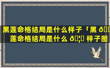 黑莲命格结局是什么样子「黑 🐝 莲命格结局是什么 🦁 样子图片」